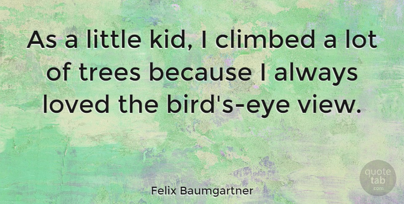 Felix Baumgartner Quote About Kids, Eye, Views: As A Little Kid I...