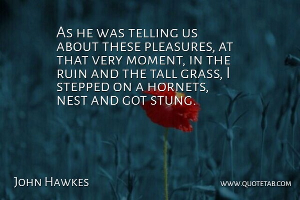 John Hawkes Quote About American Novelist, Nest, Ruin, Stepped, Tall: As He Was Telling Us...