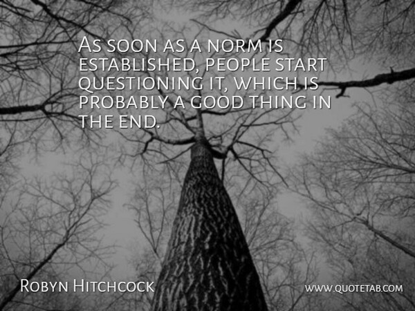 Robyn Hitchcock Quote About People, Good Things, Ends: As Soon As A Norm...