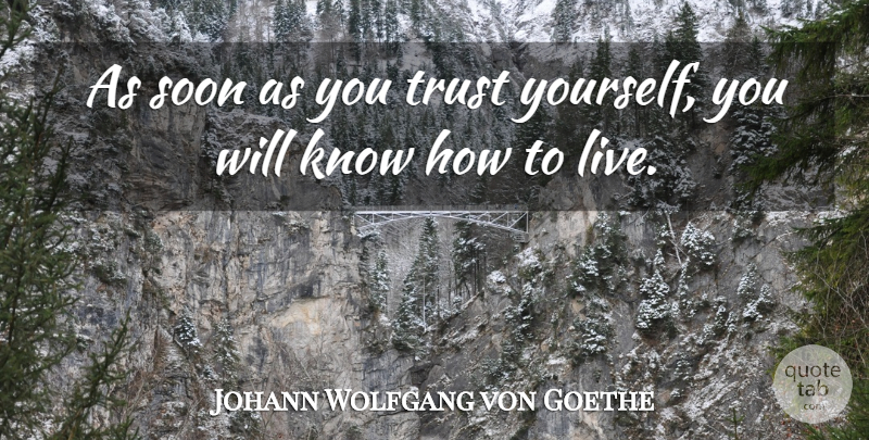 Johann Wolfgang von Goethe Quote About Inspirational, Life, Trust: As Soon As You Trust...