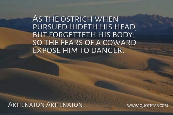 Akhenaton Akhenaton Quote About Body, Coward, Expose, Fear, Fears: As The Ostrich When Pursued...