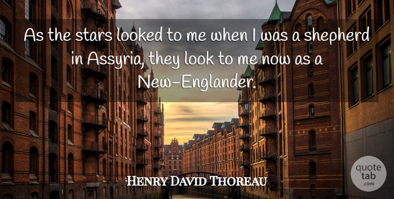 Henry David Thoreau Quote About Stars, Shepherds, Looks: As The Stars Looked To...
