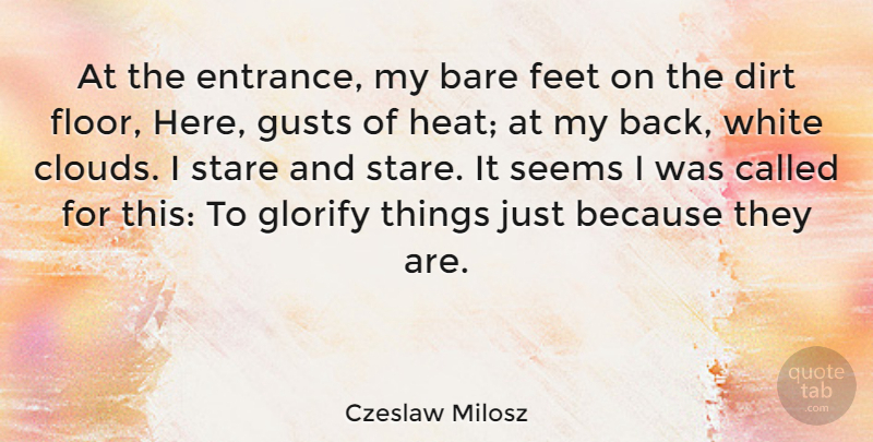 Czeslaw Milosz Quote About Bare, Dirt, Glorify, Seems, Stare: At The Entrance My Bare...
