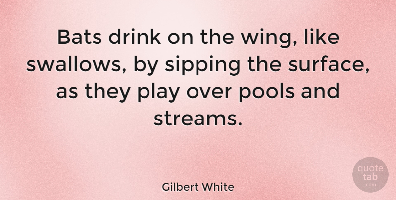 Gilbert White Quote About Bats, English Scientist, Nature, Pools, Sipping: Bats Drink On The Wing...