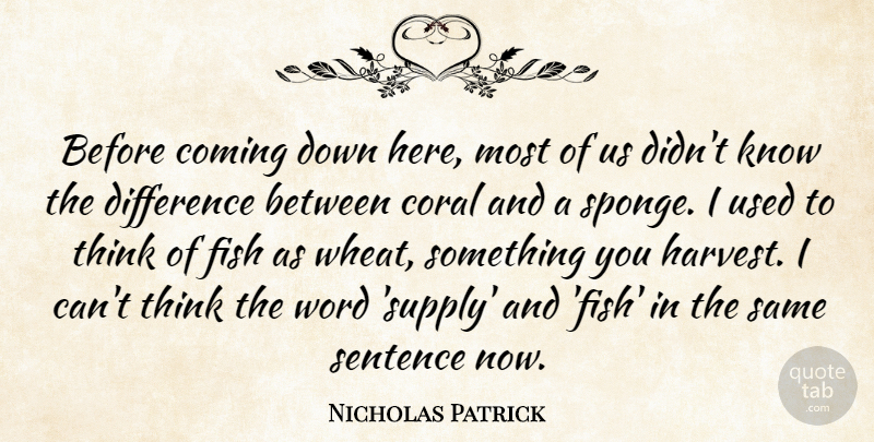 Nicholas Patrick Quote About Coming, Coral, Difference, Fish, Sentence: Before Coming Down Here Most...
