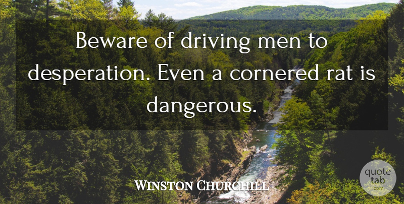 Winston Churchill Quote About Men, Rats, Driving: Beware Of Driving Men To...
