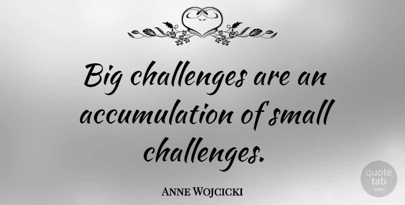 Anne Wojcicki Quote About undefined: Big Challenges Are An Accumulation...