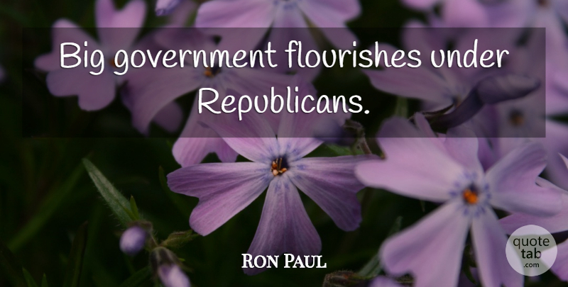 Ron Paul Quote About Government, Republican, Bigs: Big Government Flourishes Under Republicans...