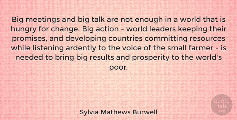 Sylvia Mathews Burwell Quote About Bring, Change, Committing, Countries, Developing: Big Meetings And Big Talk...