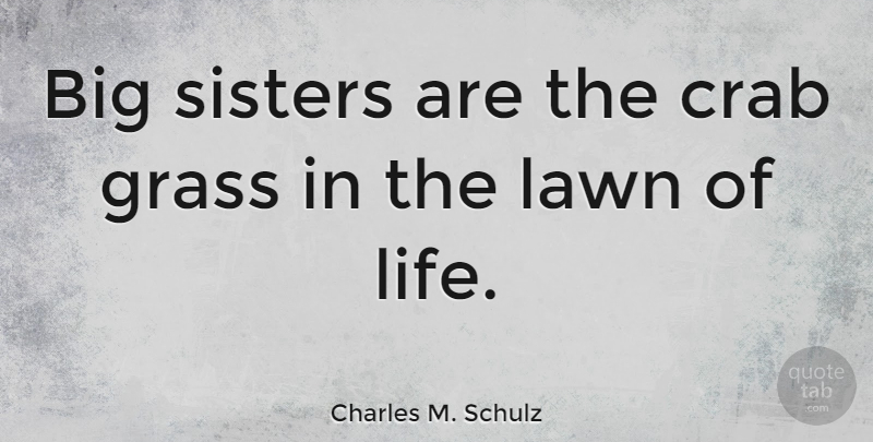 Charles M. Schulz Quote About Funny, Family, Sister: Big Sisters Are The Crab...