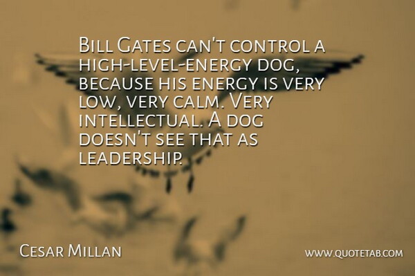 Cesar Millan Quote About Dog, Intellectual, Levels: Bill Gates Cant Control A...