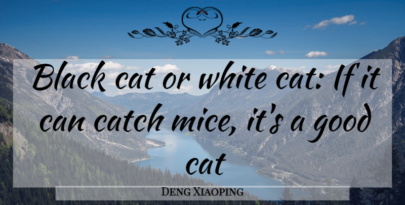 Deng Xiaoping Quote About Cat, White, Chinese: Black Cat Or White Cat...