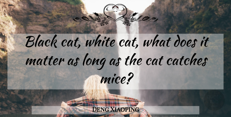Deng Xiaoping Quote About Cat, White, Long: Black Cat White Cat What...