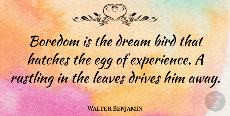 Walter Benjamin Quote About Dream, Eggs, Boredom: Boredom Is The Dream Bird...