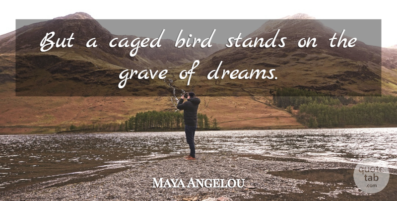 Maya Angelou Quote About Dream, Powerful, Bird: But A Caged Bird Stands...