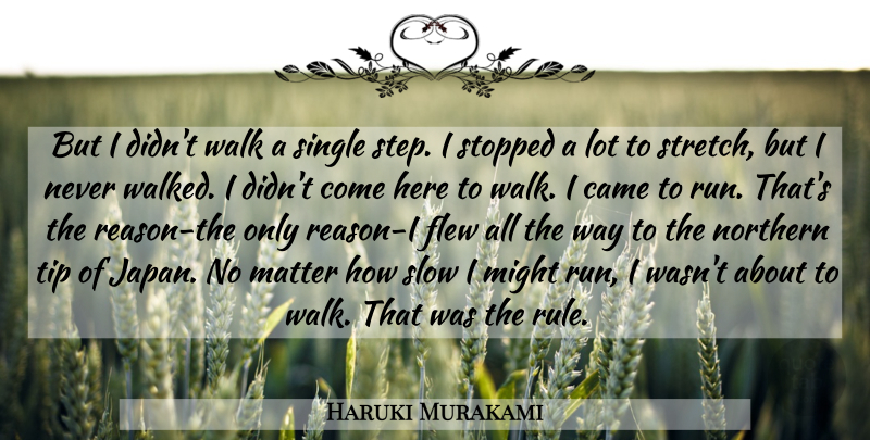 Haruki Murakami Quote About Running, Japan, Might: But I Didnt Walk A...
