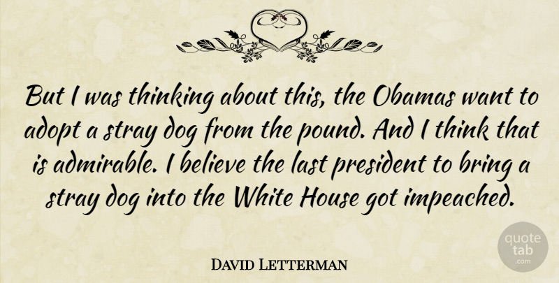 David Letterman Quote About Dog, Believe, Thinking: But I Was Thinking About...