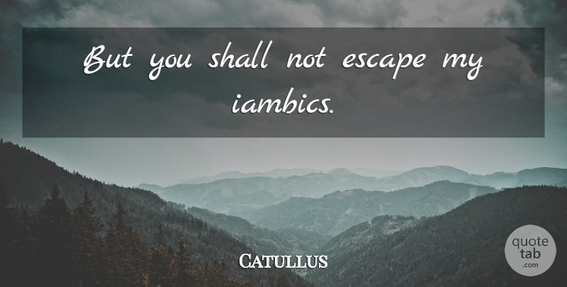 Catullus Quote About Funny, Humor: But You Shall Not Escape...