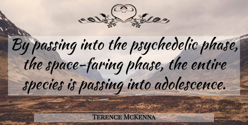 Terence McKenna Quote About Space, Phases, Psychedelic: By Passing Into The Psychedelic...