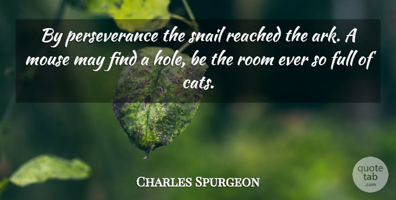 Charles Spurgeon Quote About Perseverance, Cat, May: By Perseverance The Snail Reached...
