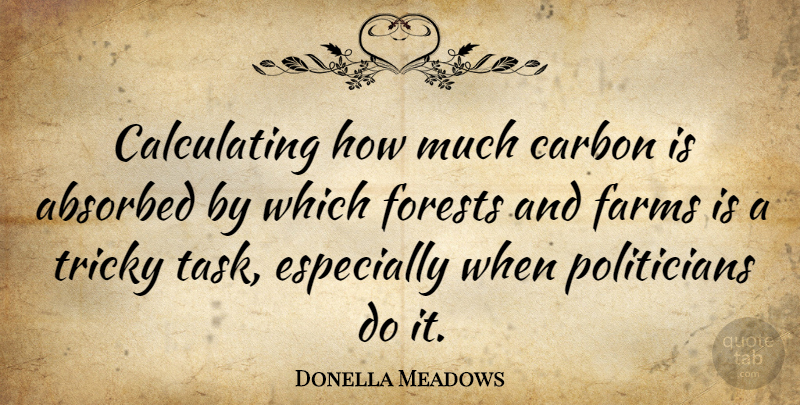 Donella Meadows Quote About Tasks, Forests, Politician: Calculating How Much Carbon Is...