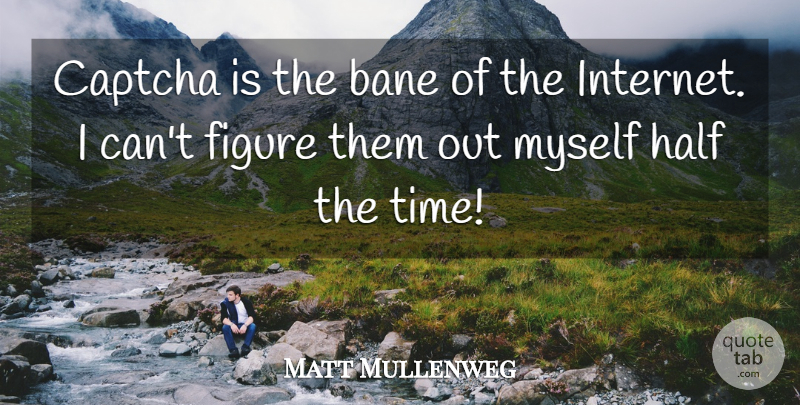 Matt Mullenweg Quote About Figure, Half, Time: Captcha Is The Bane Of...