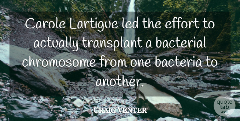 Craig Venter Quote About Led: Carole Lartigue Led The Effort...