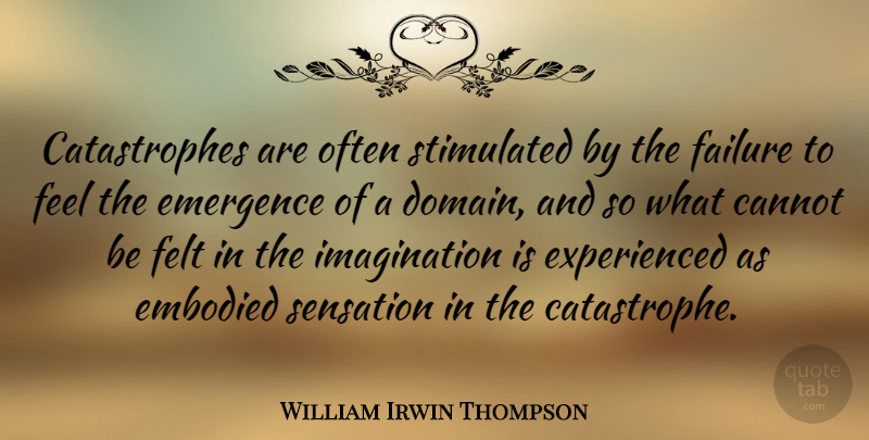 William Irwin Thompson Quote About Imagination, Domain, Feels: Catastrophes Are Often Stimulated By...