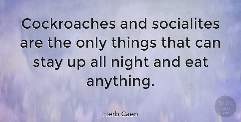 Herb Caen Quote About Stay Strong, Anger, Night: Cockroaches And Socialites Are The...