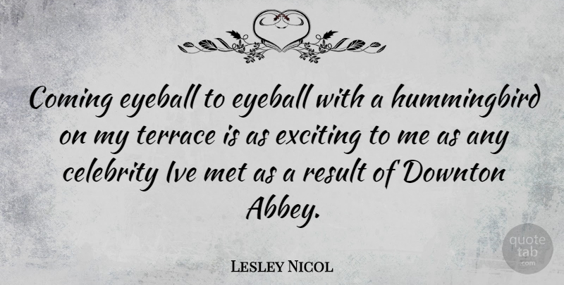 Lesley Nicol Quote About Hummingbirds, Mets, Eyeballs: Coming Eyeball To Eyeball With...