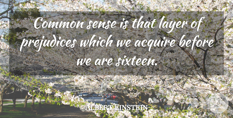 Albert Einstein Quote About Media, Common Sense, Layers: Common Sense Is That Layer...