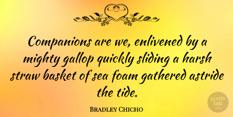 Bradley Chicho Quote About Companions, Gathered, Harsh, Mighty, Quickly: Companions Are We Enlivened By...