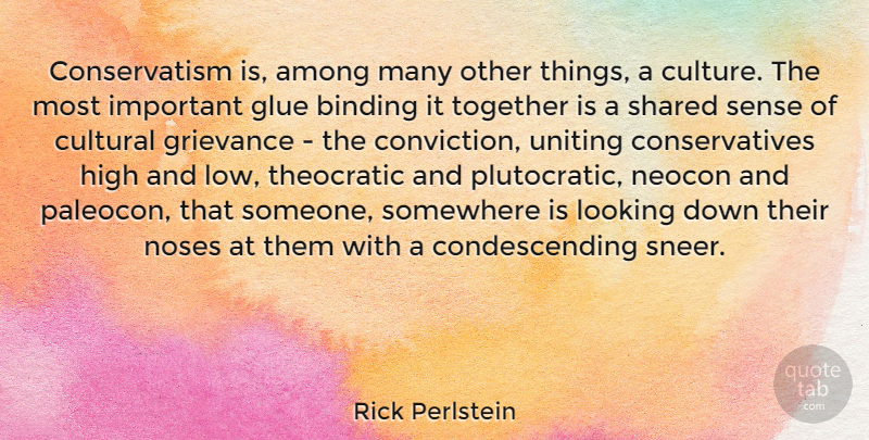 Rick Perlstein Quote About Among, Binding, Cultural, Glue, Grievance: Conservatism Is Among Many Other...