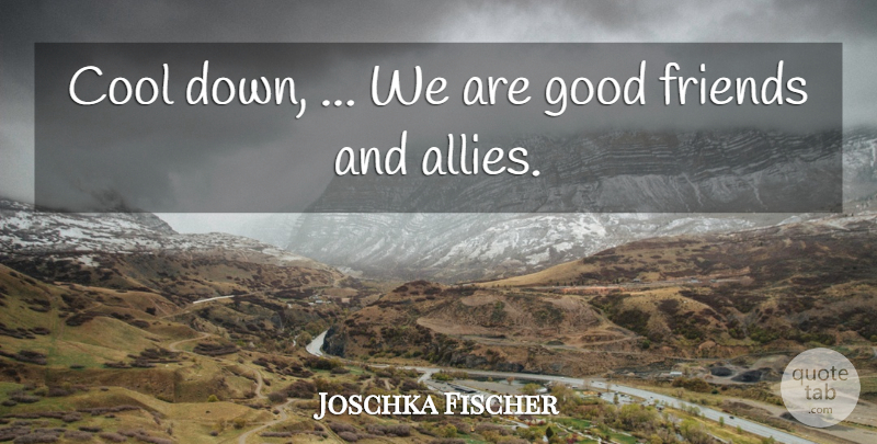 Joschka Fischer Quote About Cool, Good: Cool Down We Are Good...