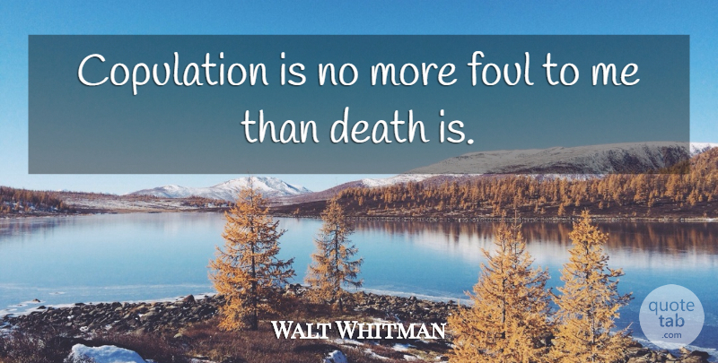 Walt Whitman Quote About Sex, Foul: Copulation Is No More Foul...