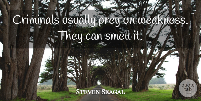 Steven Seagal Quote About Prey: Criminals Usually Prey On Weakness...
