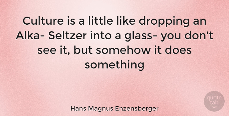 Hans Magnus Enzensberger Quote About Glasses, Doe, Culture: Culture Is A Little Like...