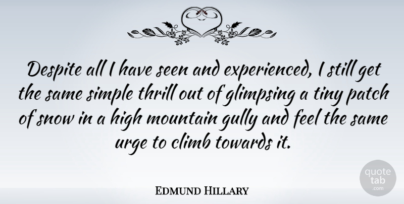 Edmund Hillary Quote About Climb, Despite, High, Patch, Seen: Despite All I Have Seen...