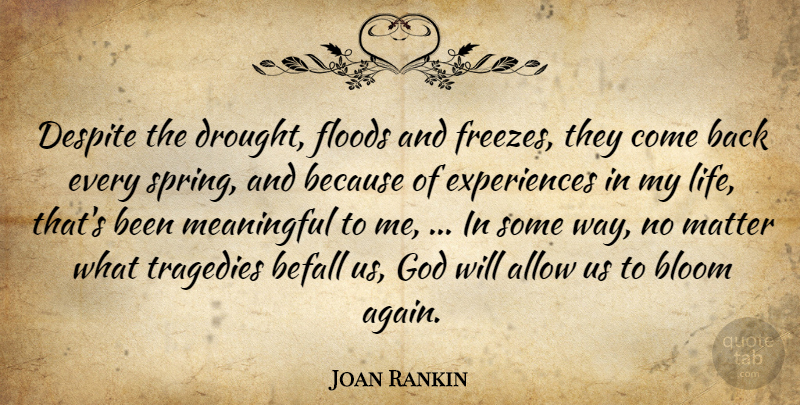Joan Rankin Quote About Allow, Befall, Bloom, Despite, Floods: Despite The Drought Floods And...