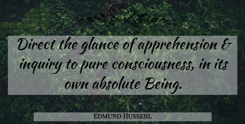 Edmund Husserl Quote About Inquiry, Consciousness, Glances: Direct The Glance Of Apprehension...