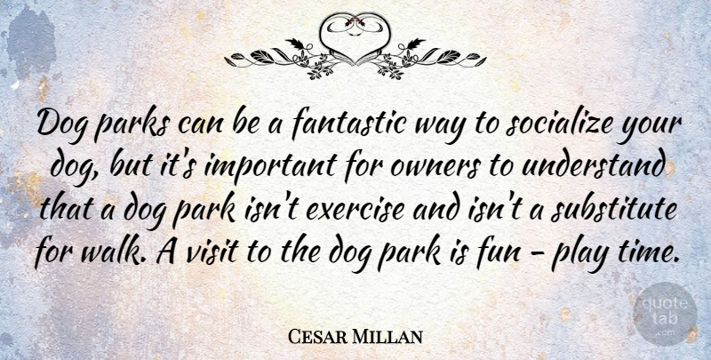 Cesar Millan Quote About Dog, Fun, Exercise: Dog Parks Can Be A...