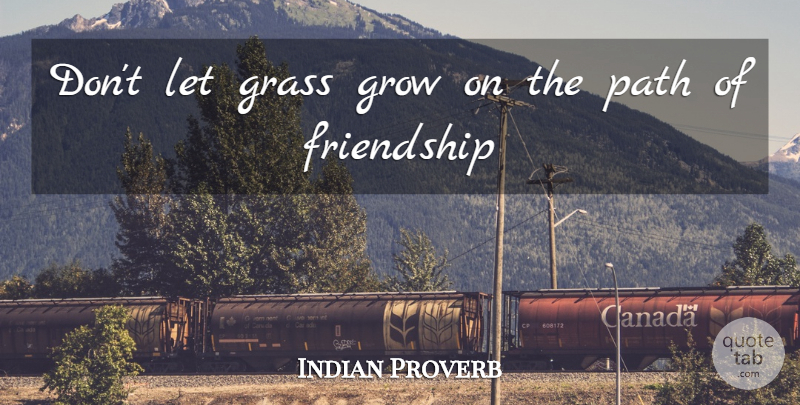 Indian Proverb Quote About Advice, Friendship, Grass, Grow, Path: Dont Let Grass Grow On...