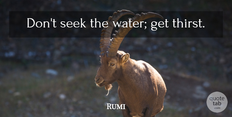 Rumi Quote About Water, Thirst: Dont Seek The Water Get...
