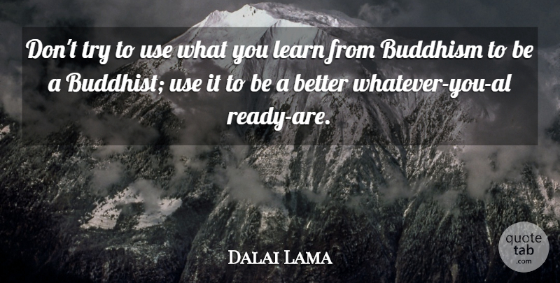 Dalai Lama Quote About Buddhist, Buddhism, Trying: Dont Try To Use What...