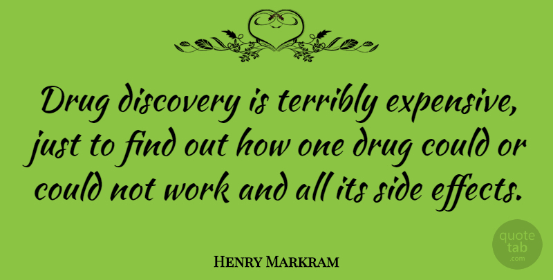 Henry Markram Quote About Side, Terribly, Work: Drug Discovery Is Terribly Expensive...