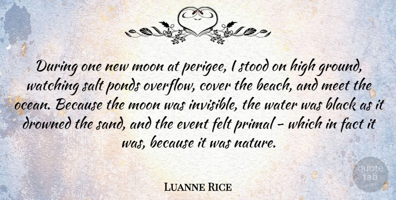 Luanne Rice Quote About Black, Cover, Drowned, Event, Fact: During One New Moon At...