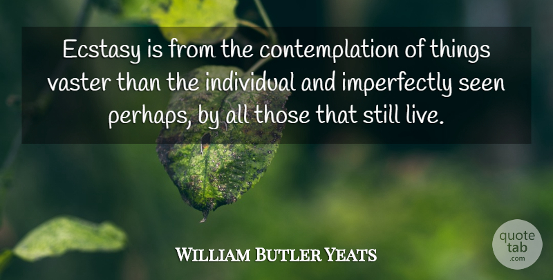 William Butler Yeats Quote About Individuality, Contemplation, Ecstasy: Ecstasy Is From The Contemplation...