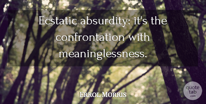 Errol Morris Quote About Confrontation, Absurdity, Ecstatic: Ecstatic Absurdity Its The Confrontation...