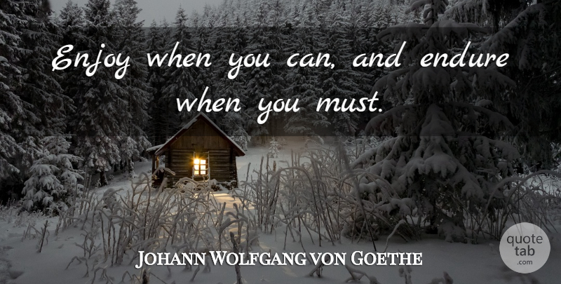 Johann Wolfgang von Goethe Quote About Life, Witty, Clever: Enjoy When You Can And...