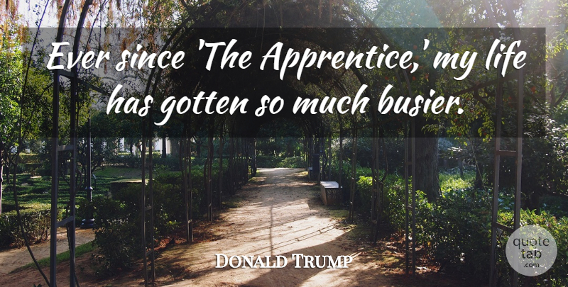 Donald Trump Quote About Life, Since: Ever Since The Apprentice My...